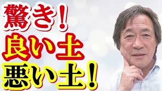 Thumbnail of post image 199