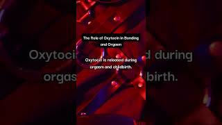 Thumbnail of post image 156